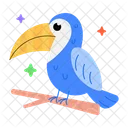 Keel Bird Toucan Bird Cute Bird Icône