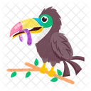 Toucan Bird Ramphastos Creature Icon