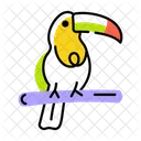 Toucan Bird Toco Toucan Toucan Icon