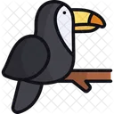 Toucan Animal Bird Icon