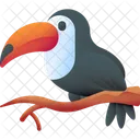 Toucan Bird Animal Icon
