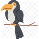 Toucan  Icon