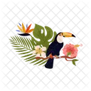 Toucan Tropical Bird Icon