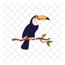 Toucan Vector Tropic Icon