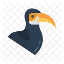 Toucan  Icon