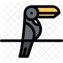 Toucan Pet Animal Icon