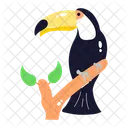 Toucan  Icon