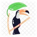 Toucan  Icon