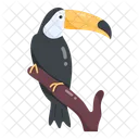 Bird Branch Cute Bird Toucan Icon