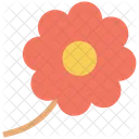 Tournesol Macro Fleur Icon