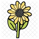 Fleur Tournesol Nature Icon