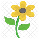 Tournesol Fleur Nature Icon