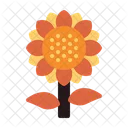 Tournesol  Icon