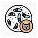 Toxoplasmose Intrazellular Toxoplasmose Symbol