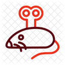 Toy Mouse Mouse Toys Icon