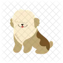 Toy Poodle Dog  Icon