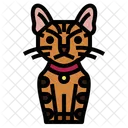 Toyger Cat Icon