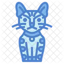 Toyger Cat Icon