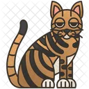 Toyger  Icon