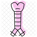 Trachea Color Shadow Thinline Icon Icon