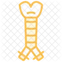 Trachea Duotone Line Icon Icon