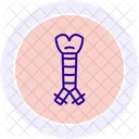 Trachea Line Icon Icon