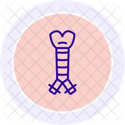 Trachea  Icon