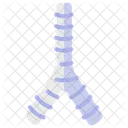 Trachea Anatomy Larynx Icône