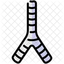 Trachea Anatomy Larynx Icône