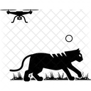Tracking Camera  Icon