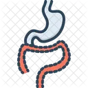 Tract System Digestive Icon