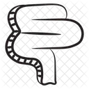 Organo Humano Tracto Digestivo Anatomia Icon