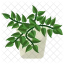 Tradescantia Potted Plant  Icon