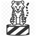 Tiger Taming Animal Training Tiger Icon