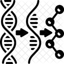Transcricao Dna Genes Ícone