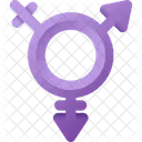 Transgender Gender Lgbt Icon