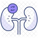 Transplante renal  Ícone