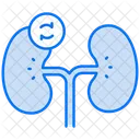 Transplante renal  Ícone