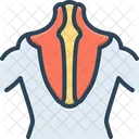 Trapecio Biceps Musculo Icono