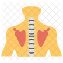 Traqueia Trato Respiratorio Superior Hormonio Glandular Ícone