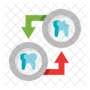 Tratamento molar  Ícone