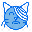 Tratamento De Gato Curativo Gato Icon