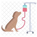 Tratamiento De Animales Hospital De Animales Examen De Animales Icono