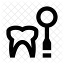 Odontologia Diente Molar Icono