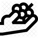 Traube  Symbol