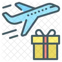 Travel Package Plane Gift Icon