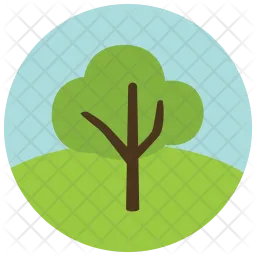 Tree  Icon