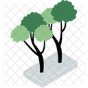 Tree  Symbol
