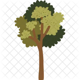 Tree  Icon