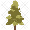Tree Plant Jungle Icon
